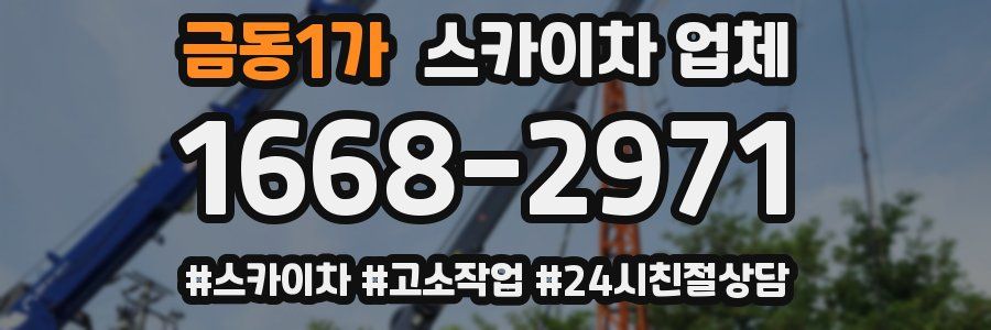 금동1가 스카이차 업체