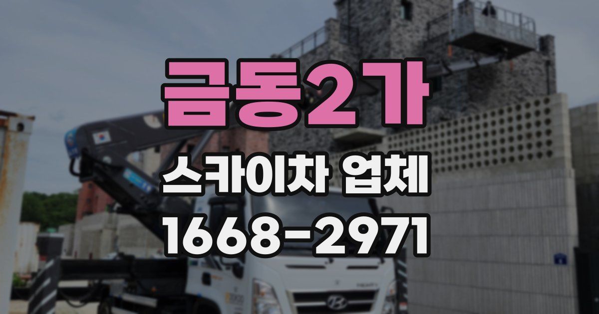 금동2가 스카이차 업체