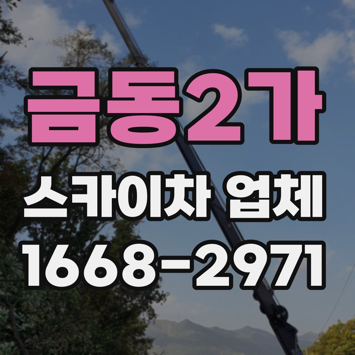 금동2가 스카이차 업체