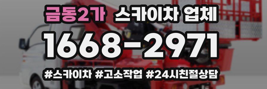 금동2가 스카이차 업체