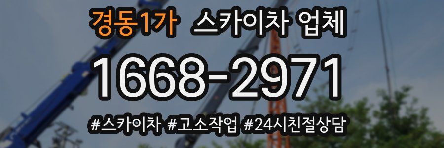 경동1가 스카이차 업체