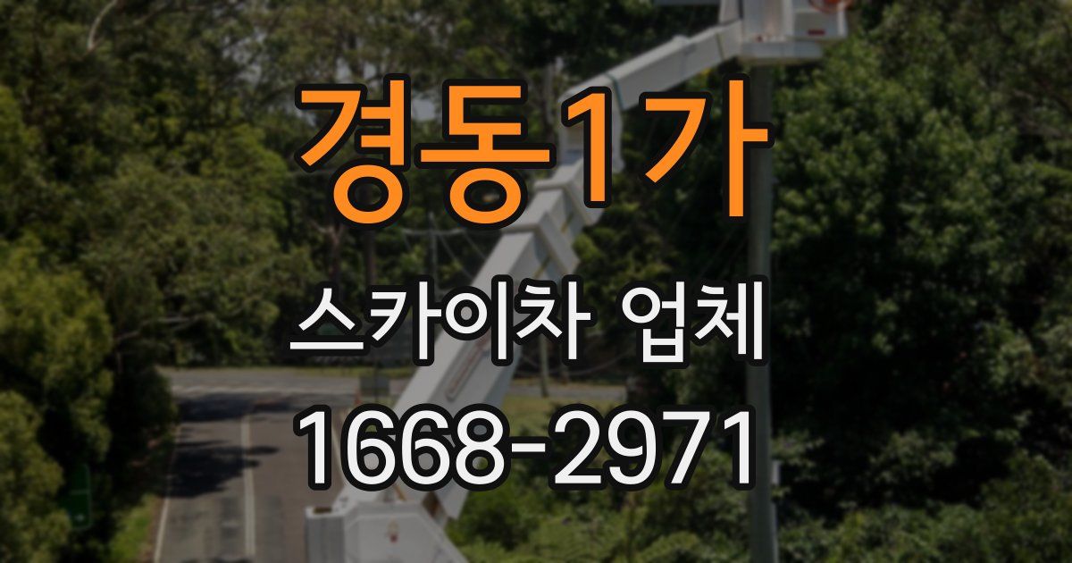 경동1가 스카이차 업체