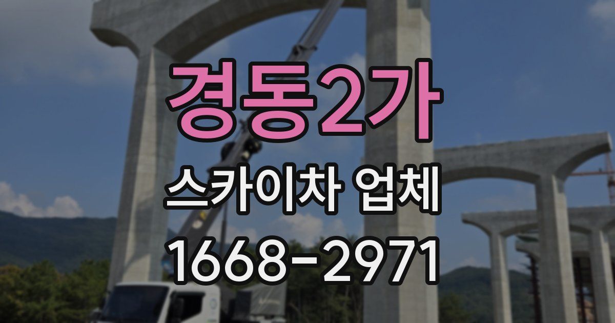 경동2가 스카이차 업체