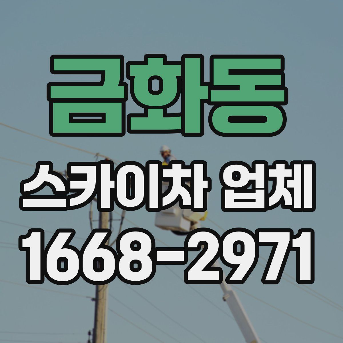 금화동 스카이차 업체