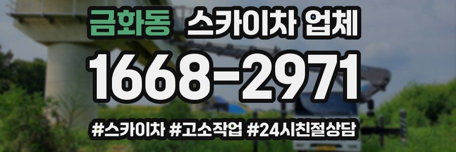 금화동 스카이차 업체