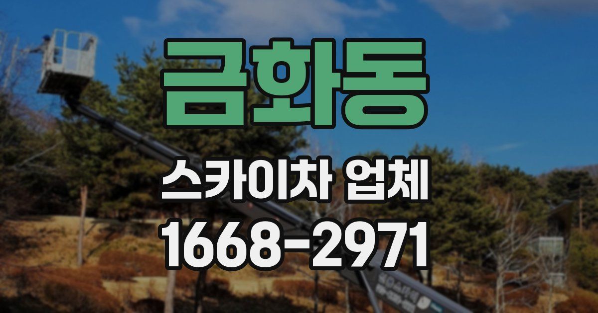 금화동 스카이차 업체