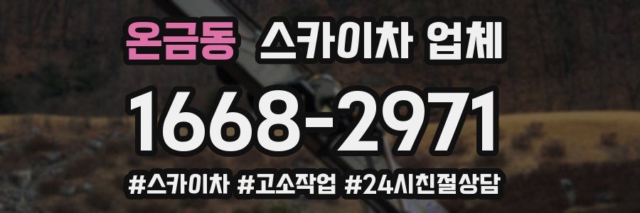 온금동 스카이차 업체