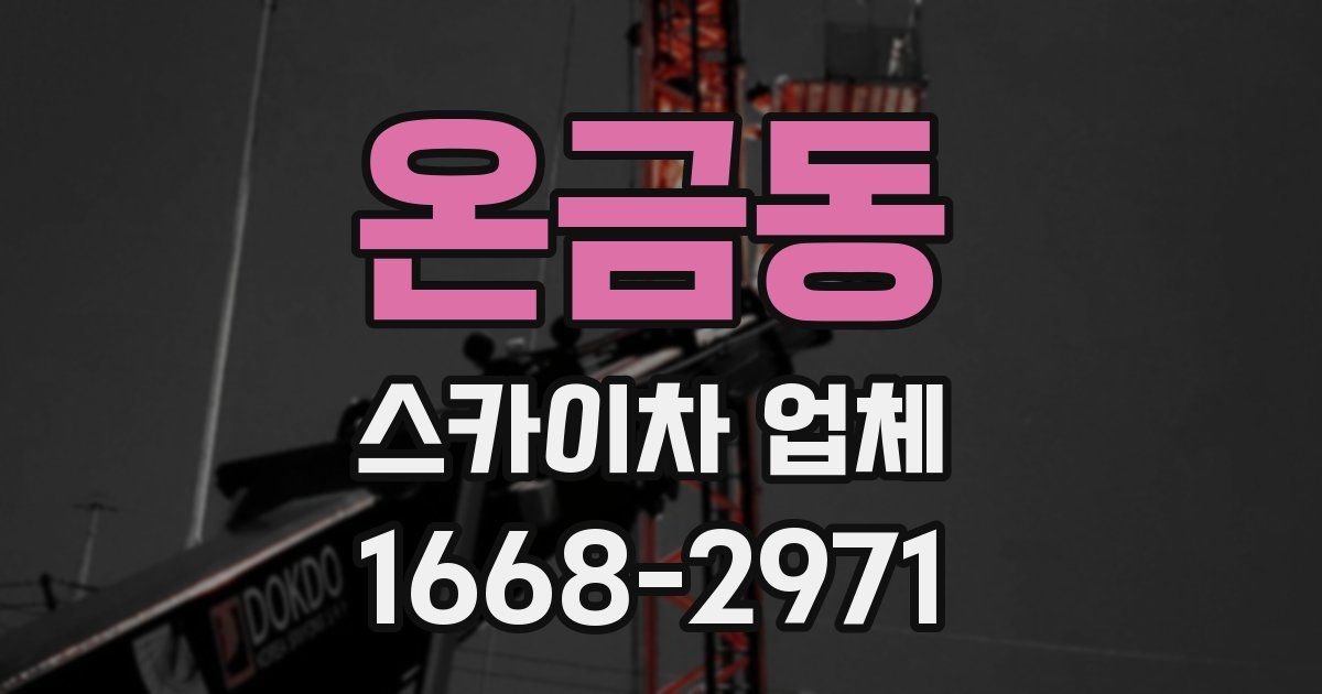온금동 스카이차 업체
