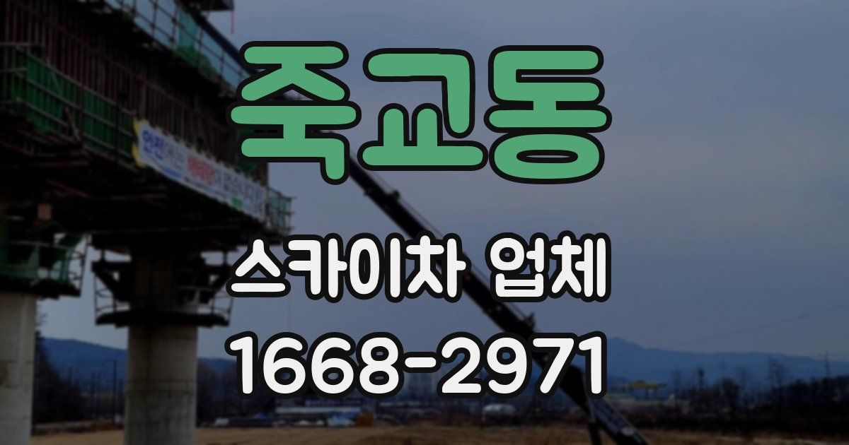 죽교동 스카이차 업체