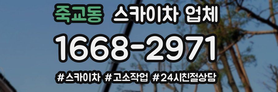 죽교동 스카이차 업체