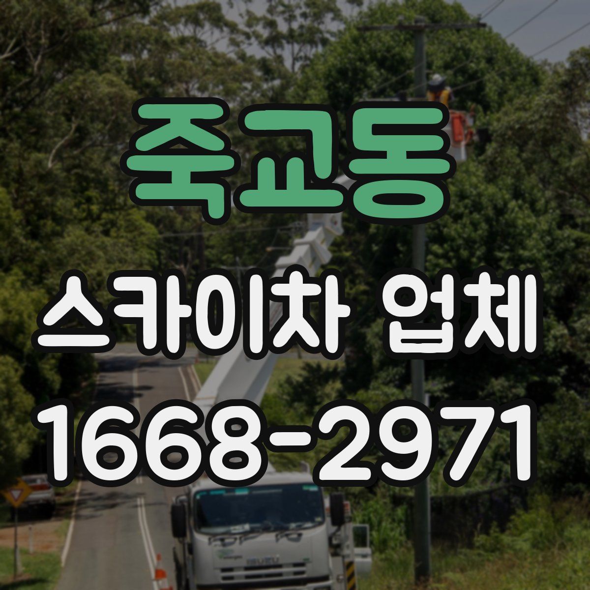 죽교동 스카이차 업체