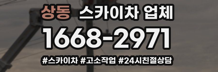 상동 스카이차 업체