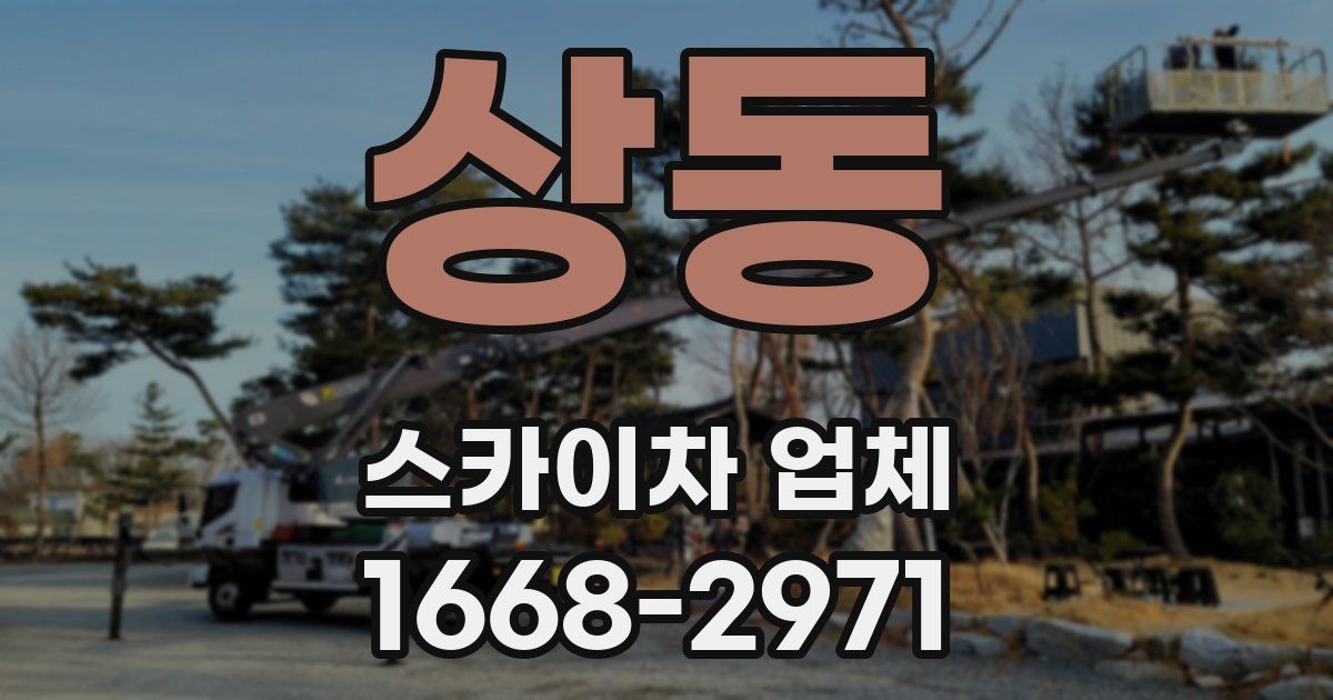 상동 스카이차 업체