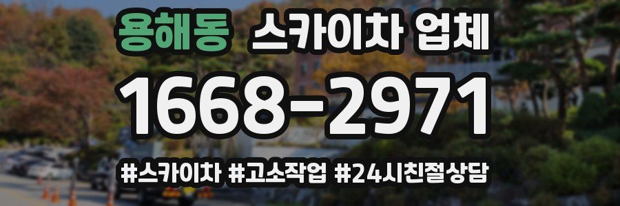 용해동 스카이차 업체