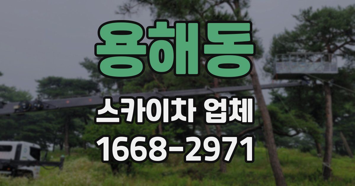 용해동 스카이차 업체