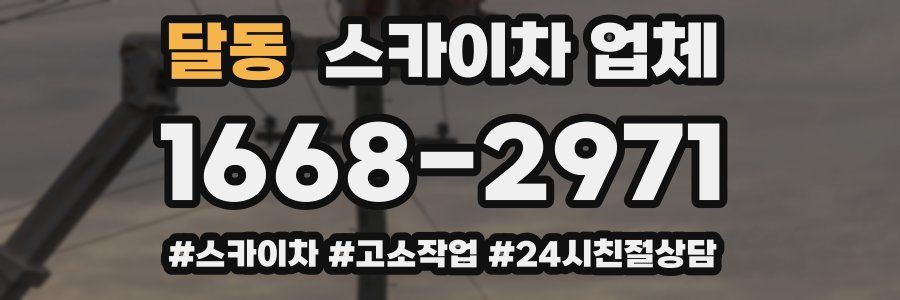 달동 스카이차 업체