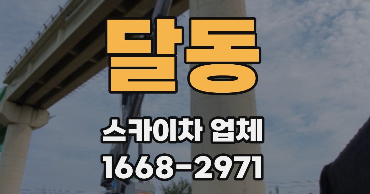 달동 스카이차 업체