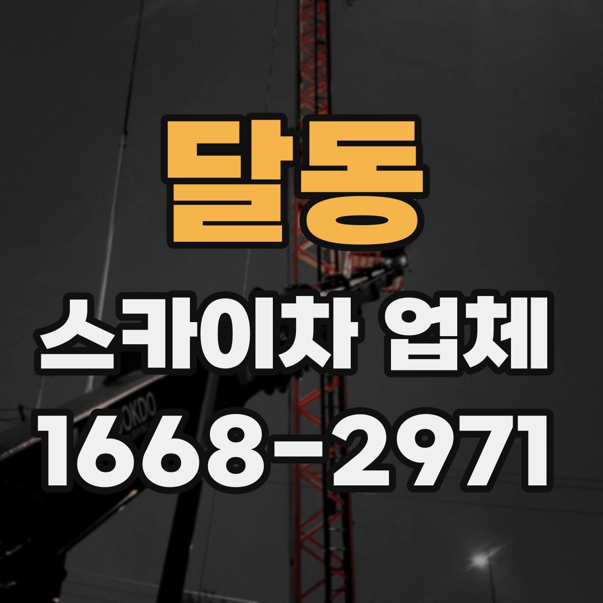달동 스카이차 업체