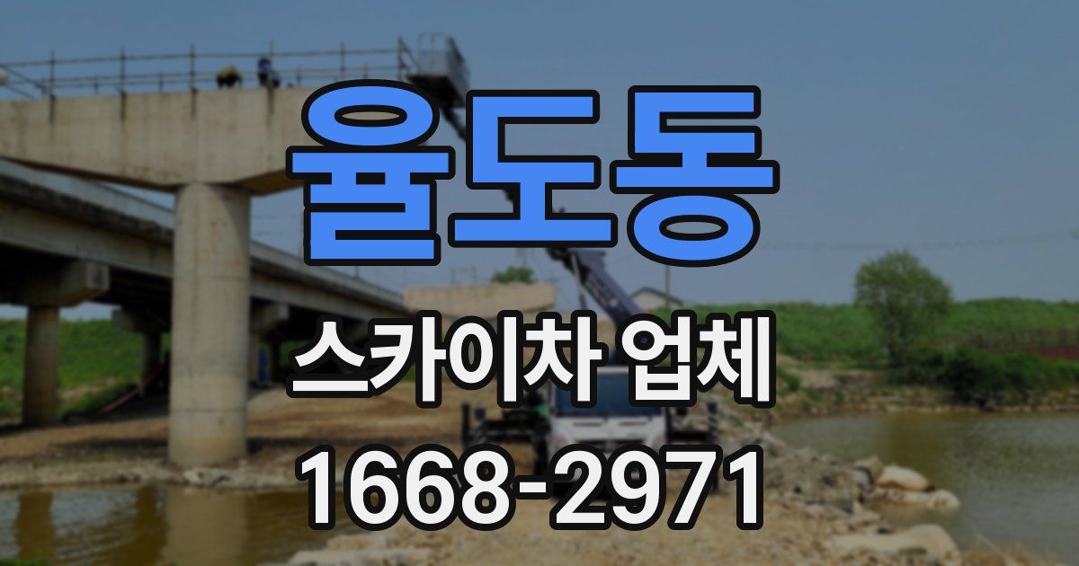 율도동 스카이차 업체