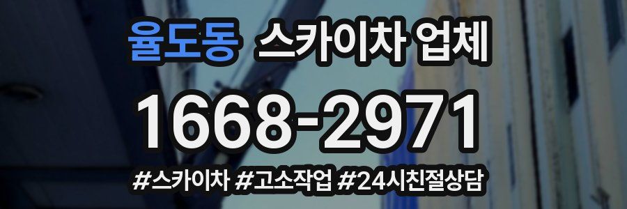 율도동 스카이차 업체