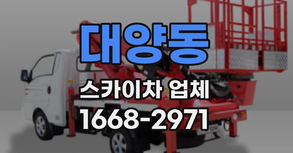 대양동 스카이차 업체