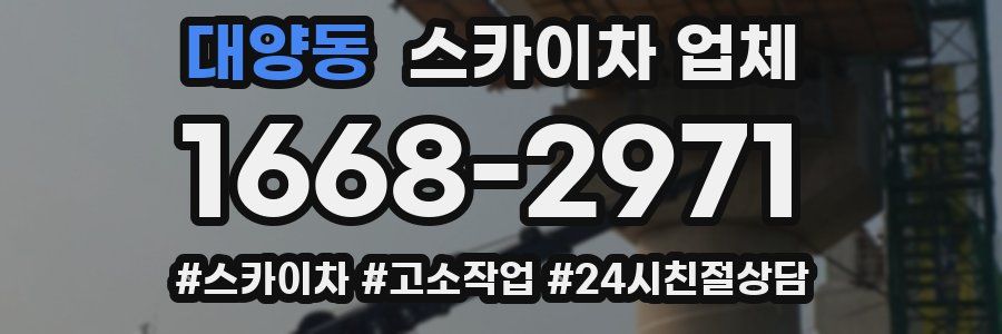 대양동 스카이차 업체