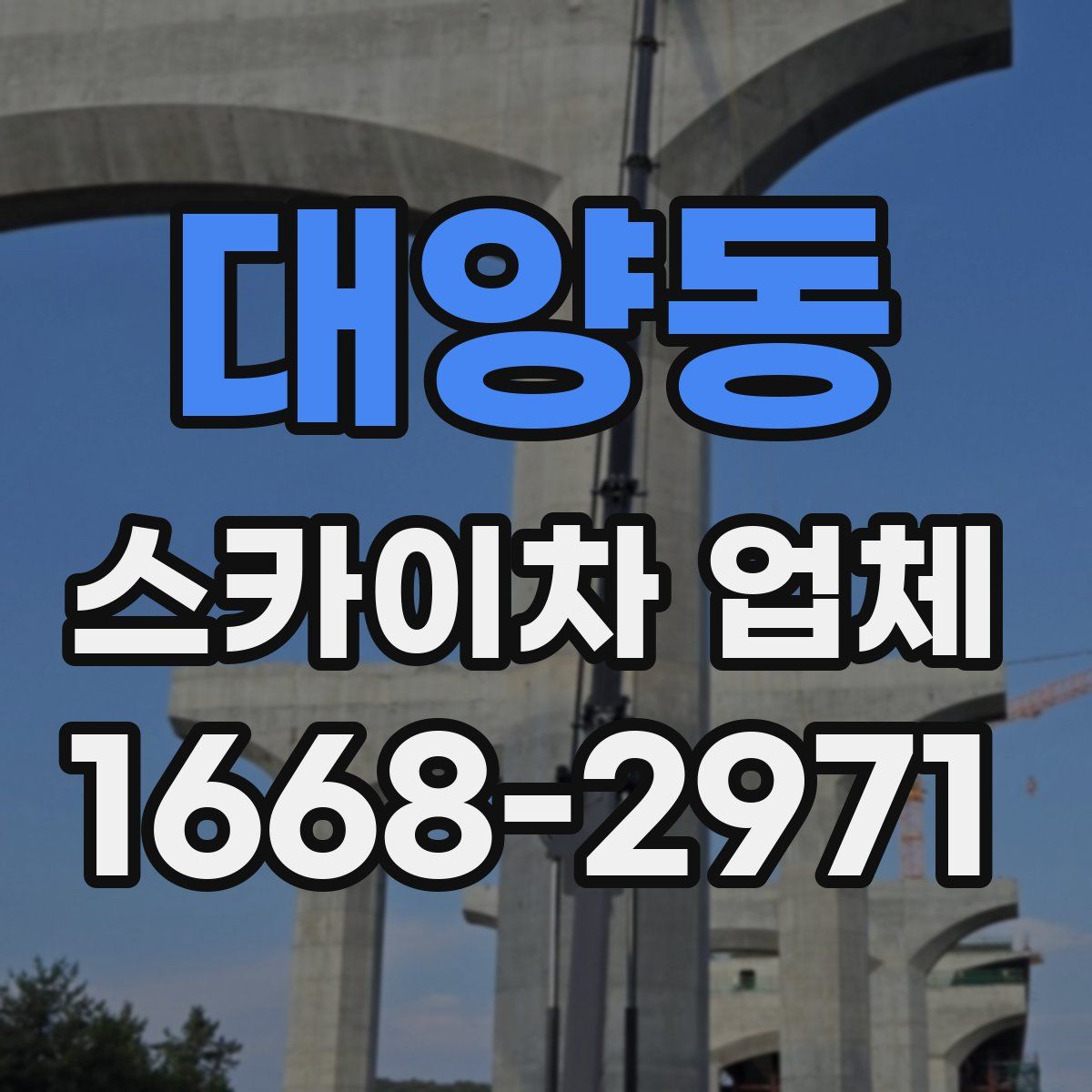 대양동 스카이차 업체