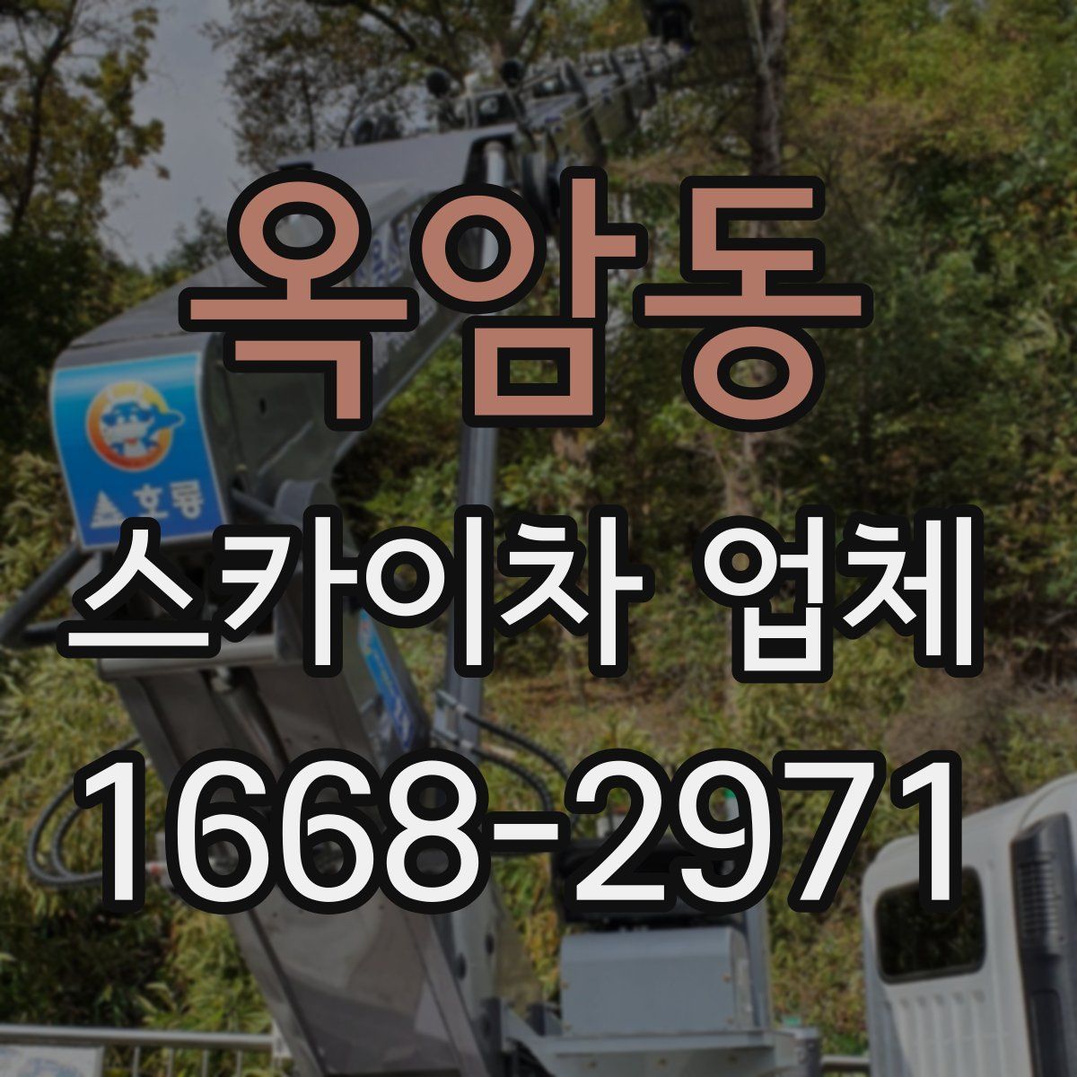 옥암동 스카이차 업체