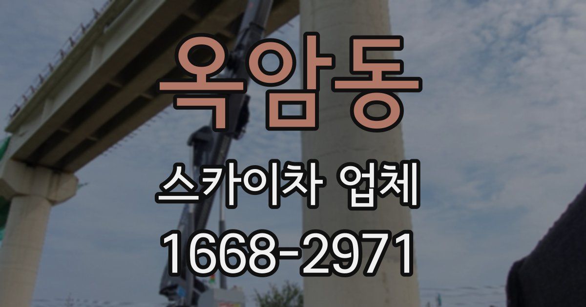 옥암동 스카이차 업체
