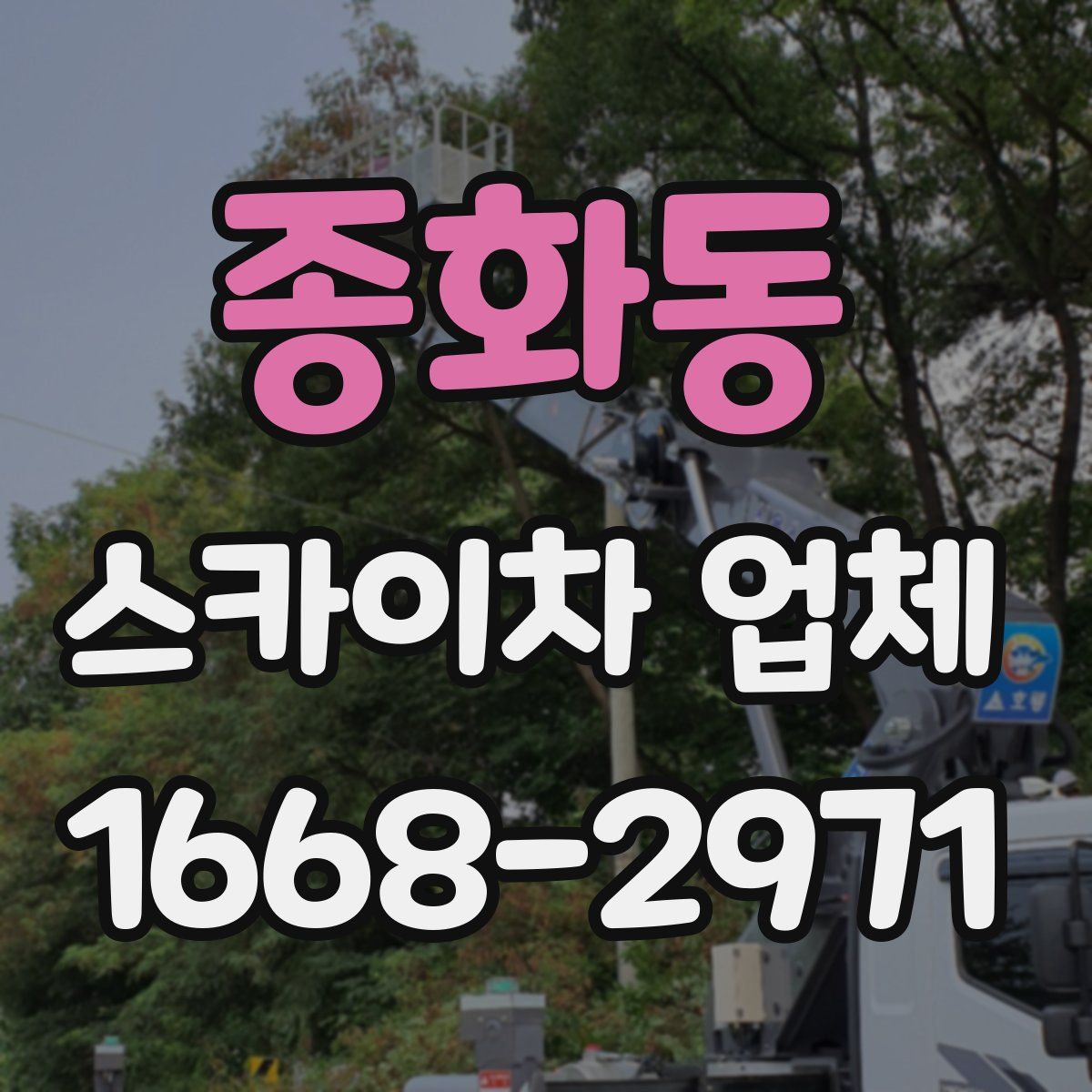 종화동 스카이차 업체