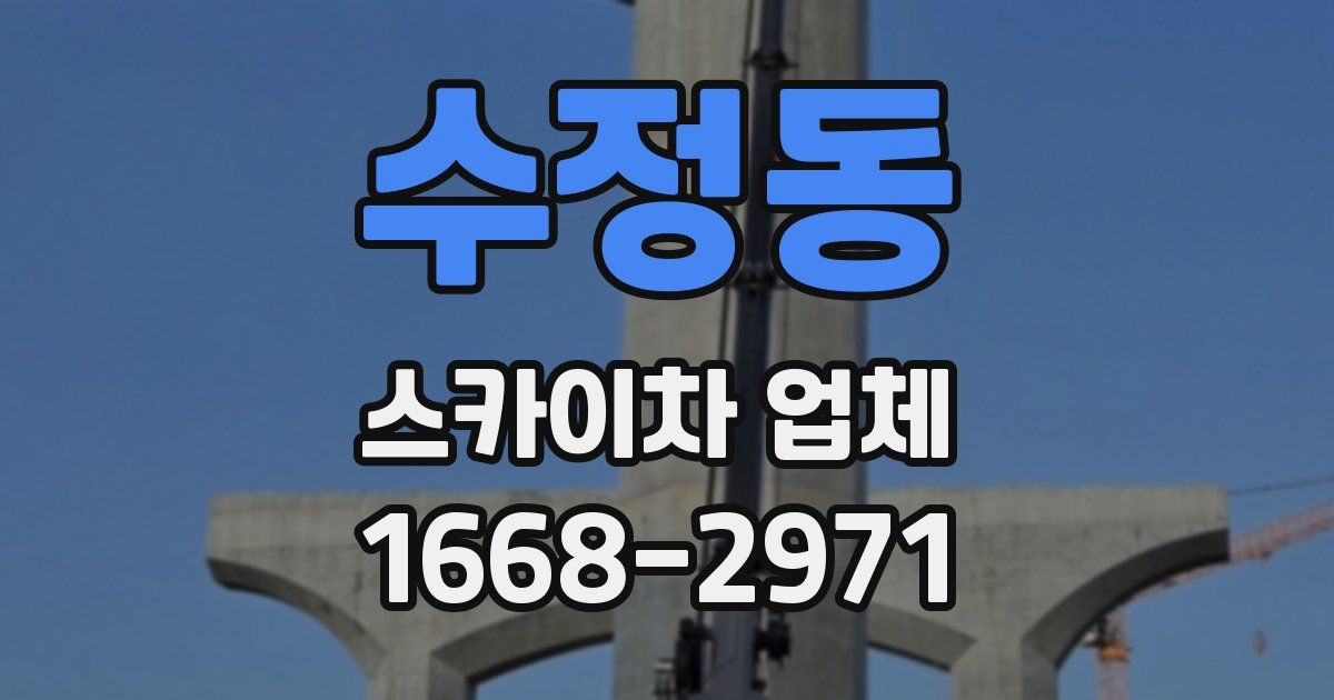 수정동 스카이차 업체
