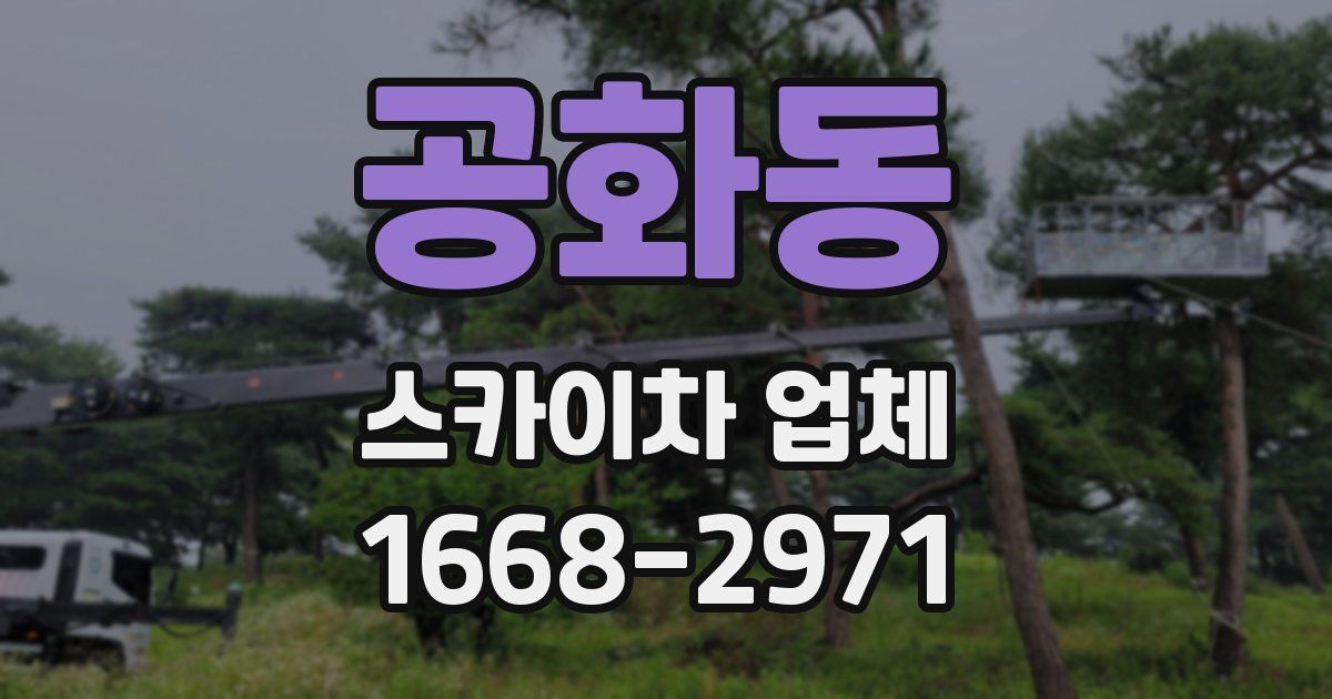 공화동 스카이차 업체