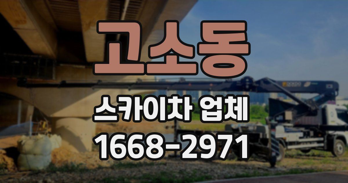 고소동 스카이차 업체