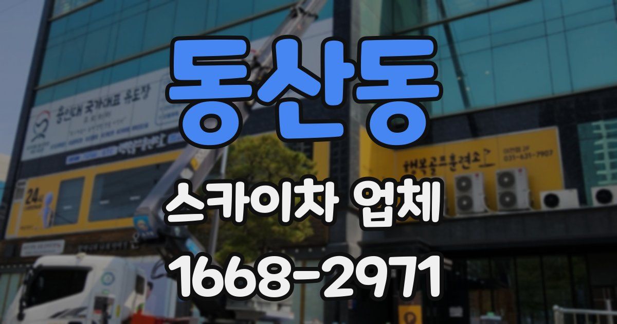 동산동 스카이차 업체