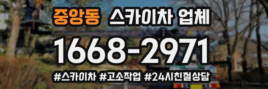 중앙동 스카이차 업체