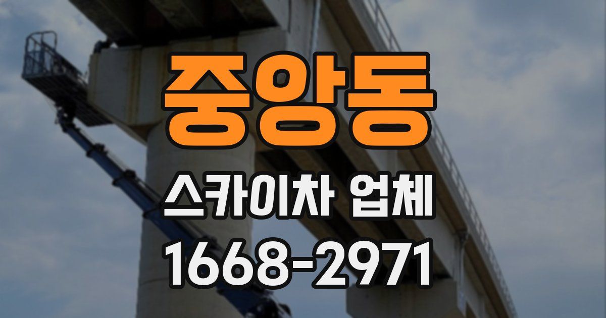 중앙동 스카이차 업체