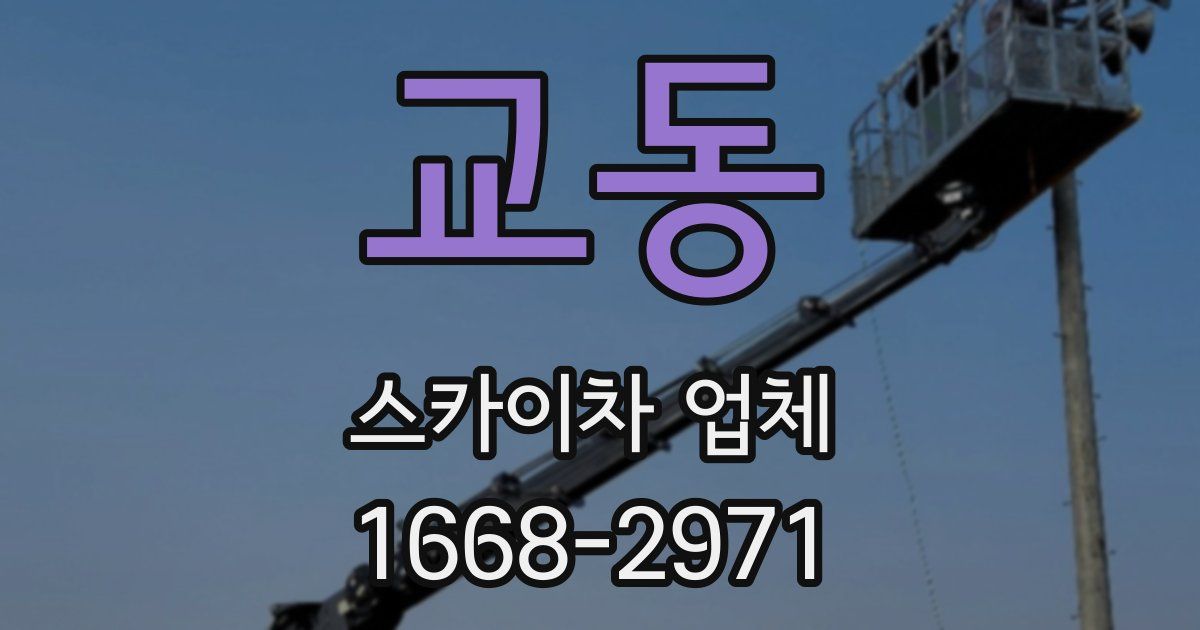 교동 스카이차 업체