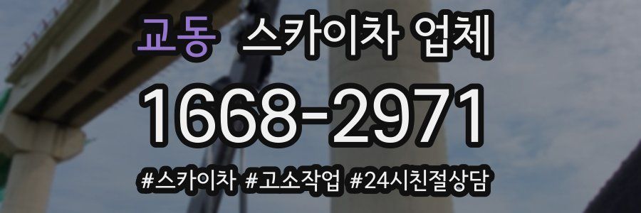 교동 스카이차 업체