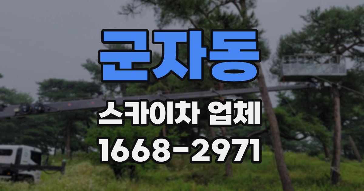 군자동 스카이차 업체