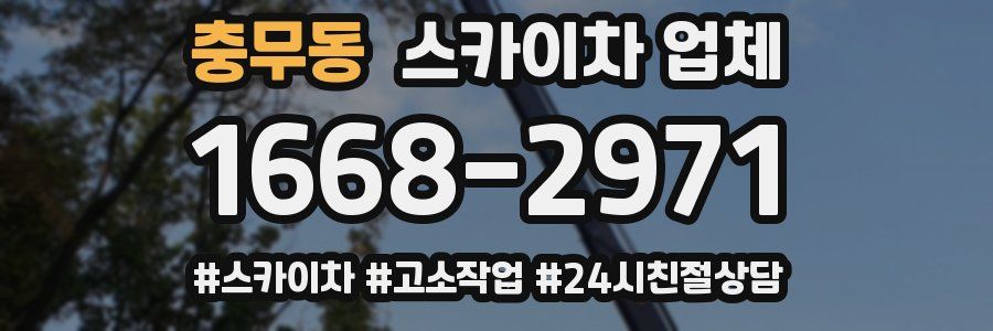 충무동 스카이차 업체