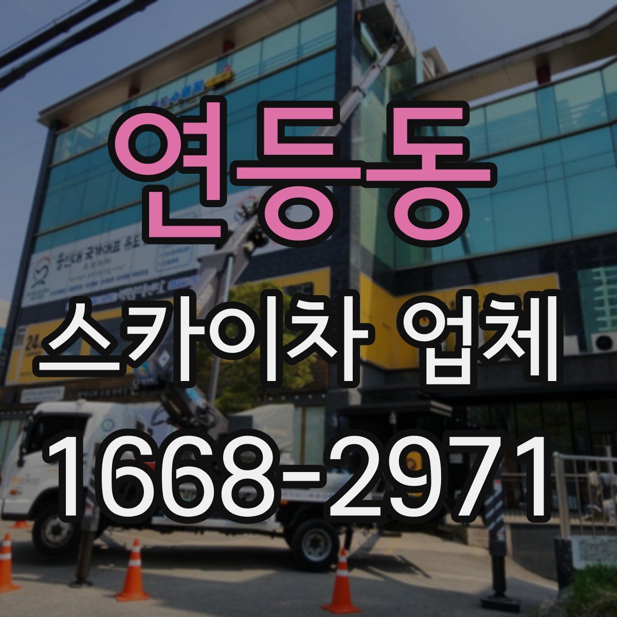연등동 스카이차 업체