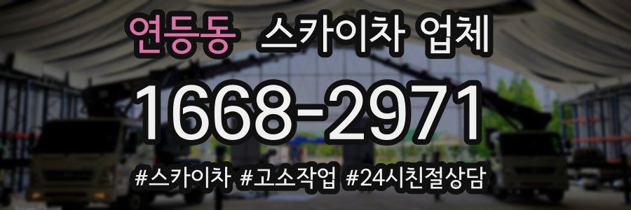 연등동 스카이차 업체