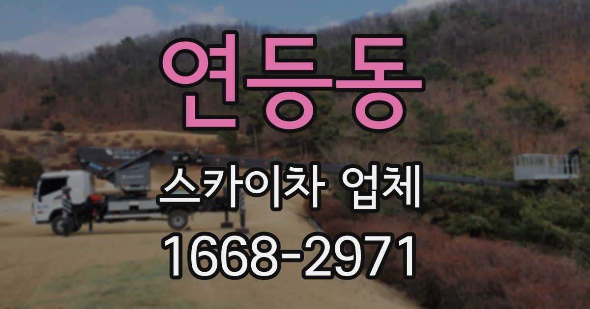 연등동 스카이차 업체