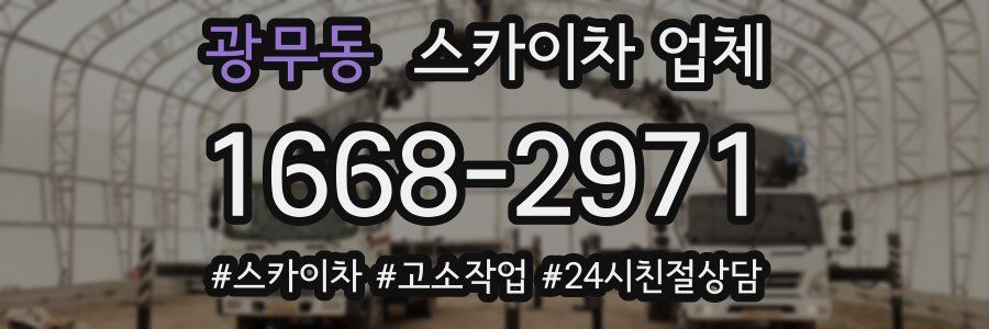 광무동 스카이차 업체