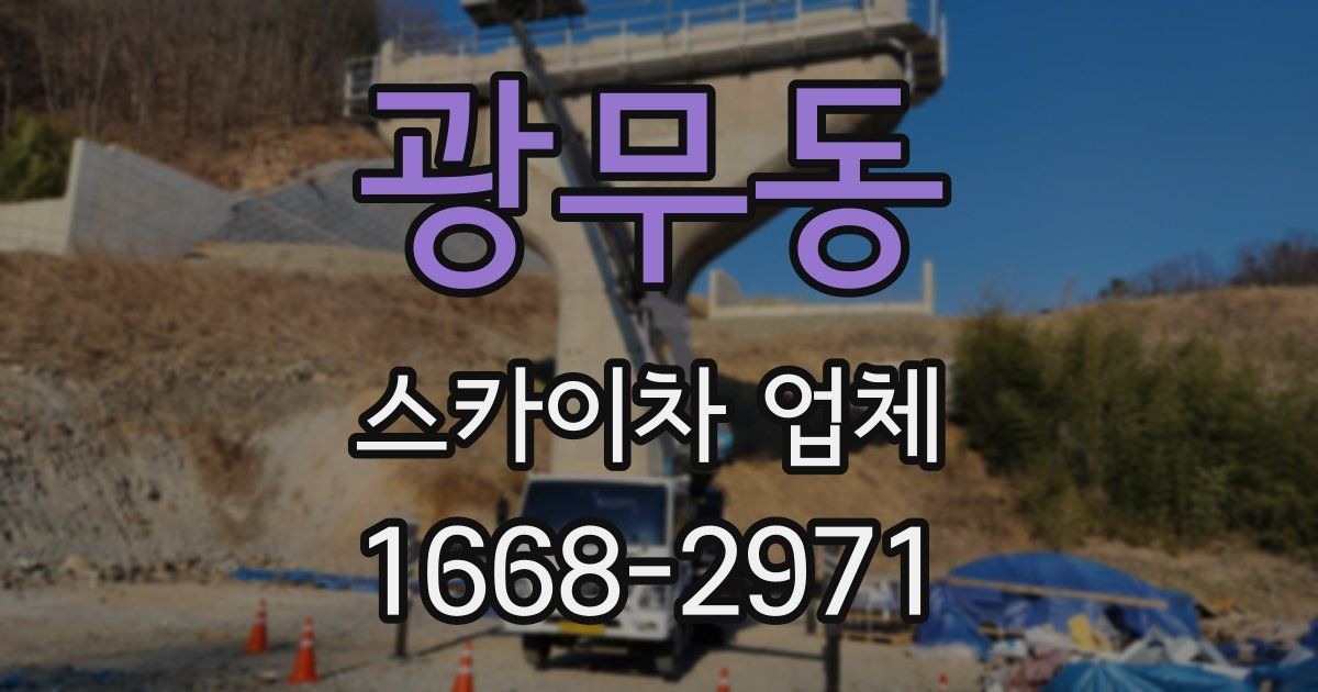 광무동 스카이차 업체
