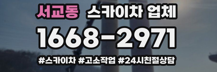 서교동 스카이차 업체