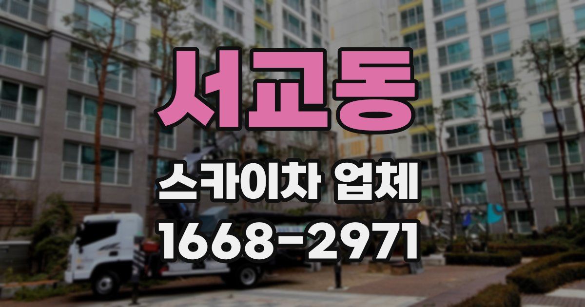 서교동 스카이차 업체