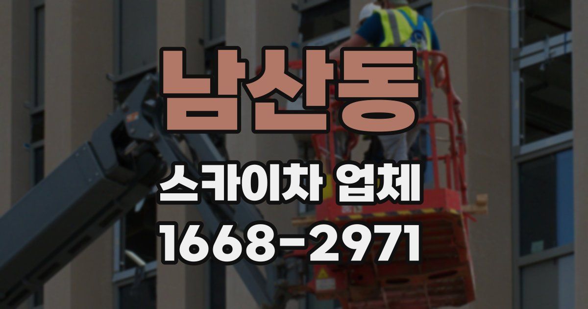 남산동 스카이차 업체