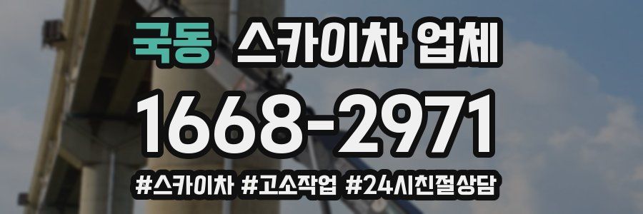 국동 스카이차 업체