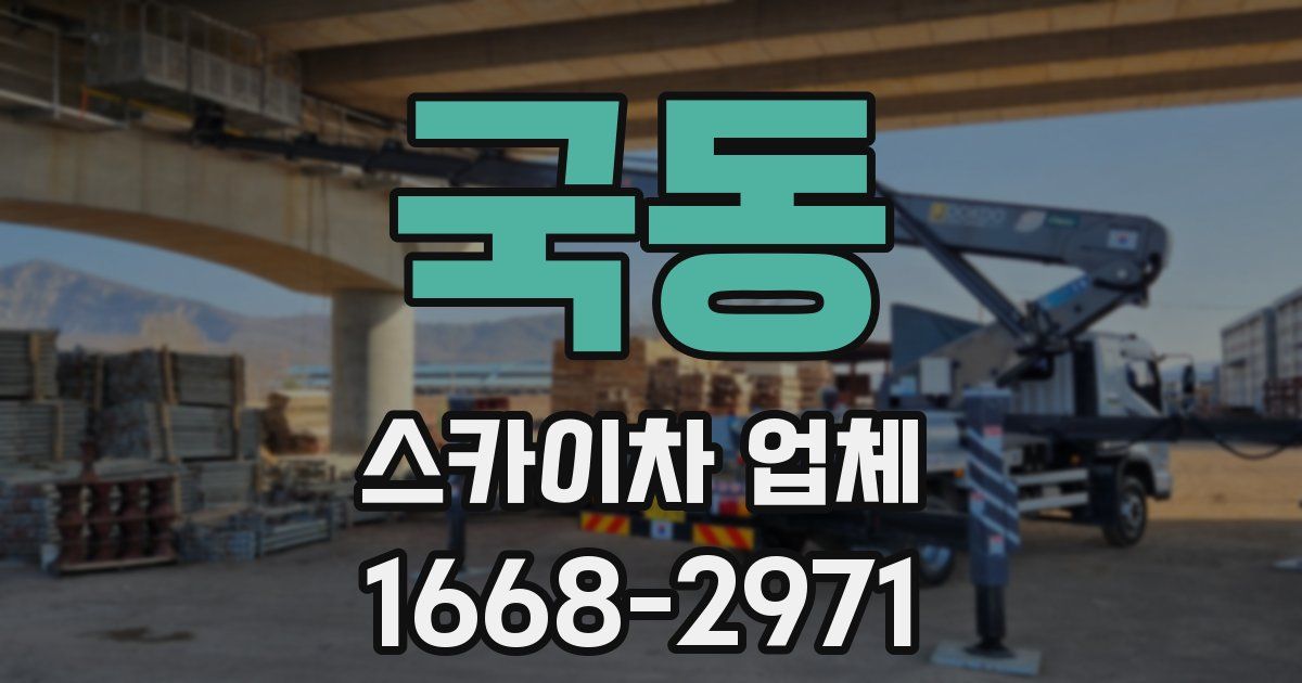 국동 스카이차 업체